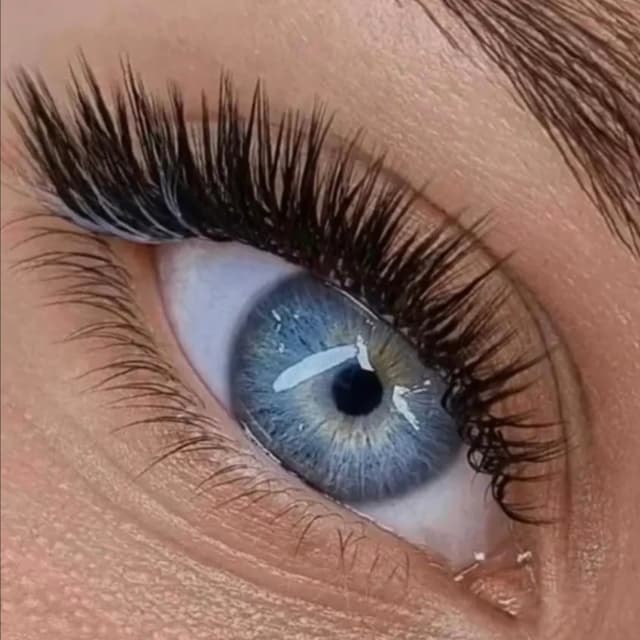 The Lash Club- Hybrid at Coiffeur Salon & Boutique in Loveland, CO
